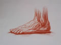 Michael Hensley Drawings, Human Feet 17